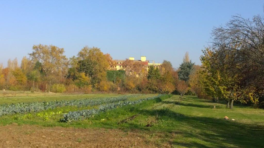 panorama-su-villa-salus-passeggiata-caritas-quartiere-savena